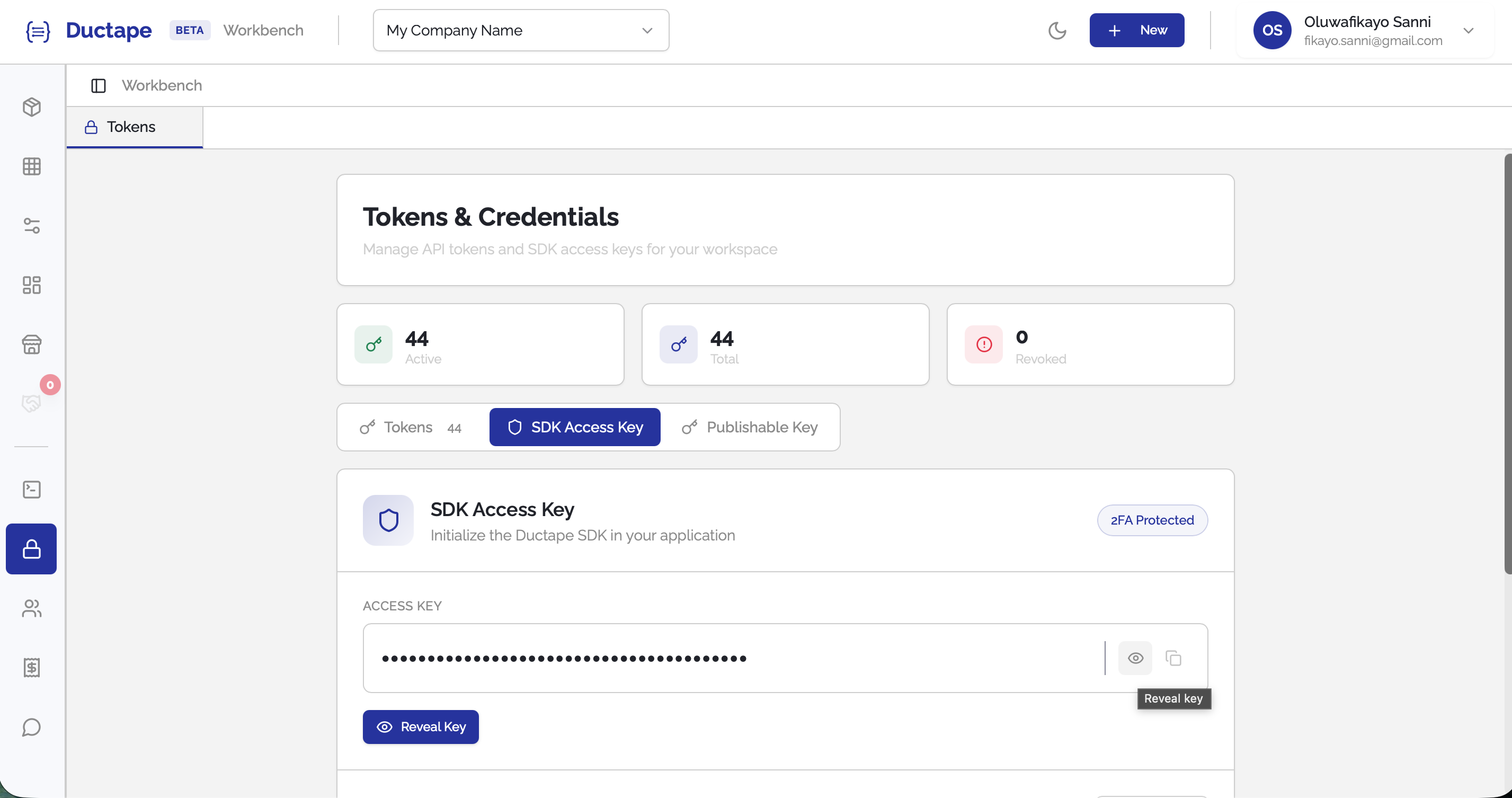 SDK access key tab showing hidden key input with reveal button